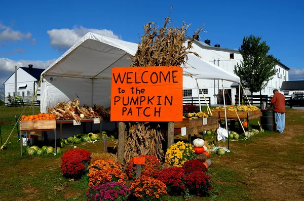 Ronks, PA: Sign at the Pumpkin Patch Farm — Zdjęcie stockowe