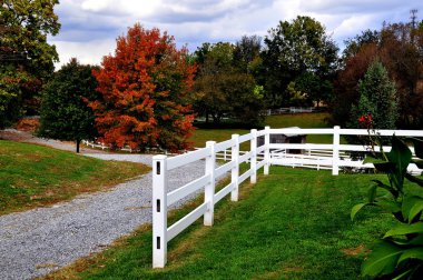 Lancaster, Pennsylvania: Çitler ve zemin Amish çiftlik ve Evi Müzesi