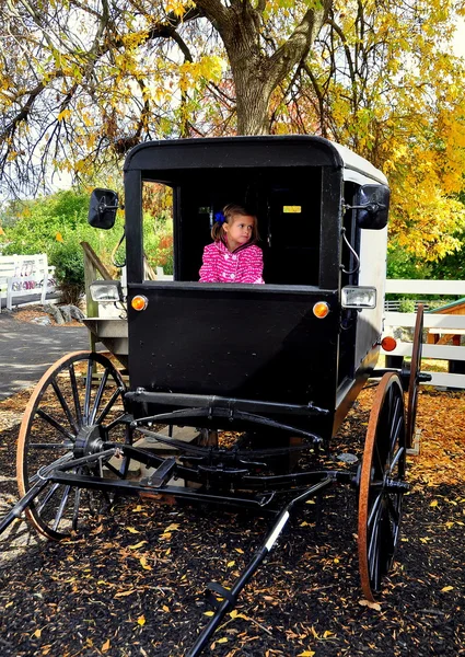 Фасастер, Пенсильвания: молодая девушка в амишском багги — стоковое фото
