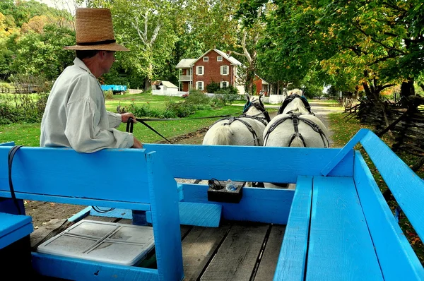 Lancaster, Pennsylvania - 14. Oktober 2015: Fahrer mit Pferdewagen — Stockfoto