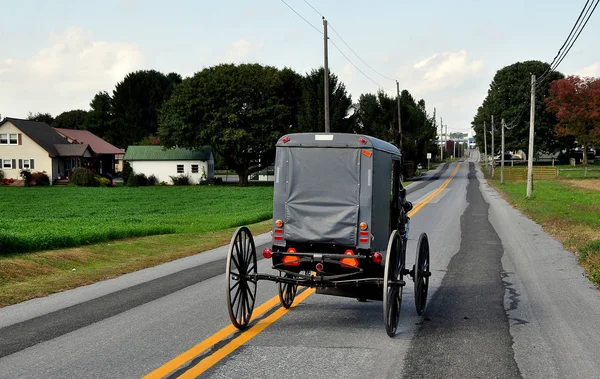 Hrabstwo Lancaster w stanie Pensylwania: Amish Buggy na trasie 772 — Zdjęcie stockowe