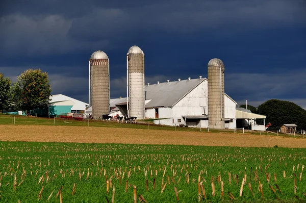 Comté de Lancaster, Pennsylvanie : Amish Farm avec Silos — Photo