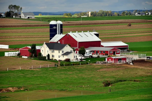 Lancaster County, Pennsylvania: Amish gård Stockbild