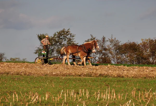 Lancaster County, Pennsylvania: Amish bonde — Stockfoto