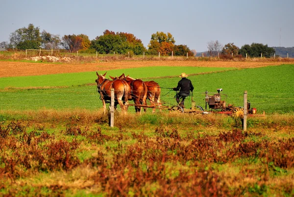 Condado de Lancaster, Pensilvânia: Amish Farmer Plowing Field — Fotografia de Stock