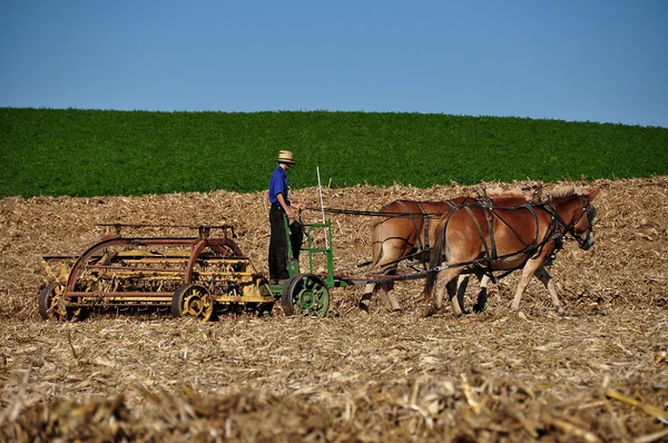 Lancaster County, Pennsylvania: Amish Farmer Tilling Field — Stock Photo, Image