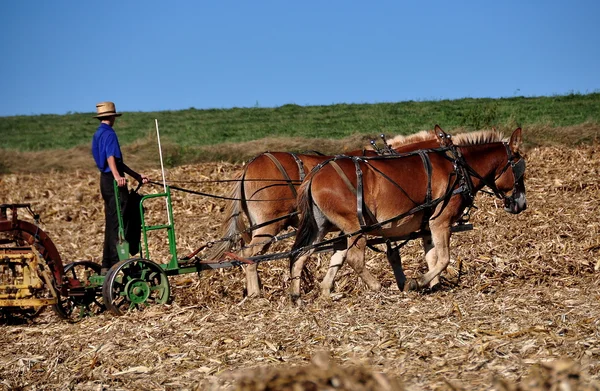 Lancaster County, PA: — Stock Photo, Image