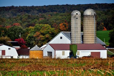 Lancaster County, Pennsylvania: Corn Crib and Silo on Amish Farm