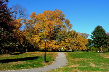 NYC: Autumn Foliage in Central Park