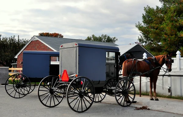 Lancaster County, Pennsylvania: Amish Buggies