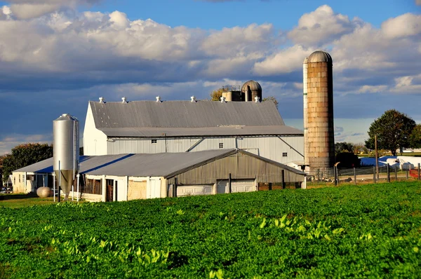 Lancaster County, Pennsylvania:  Amish Farm — Stock Photo, Image