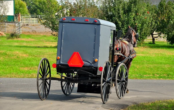 Lancaster County, Pennsylvania:  Amish Buggy — Stock Photo, Image