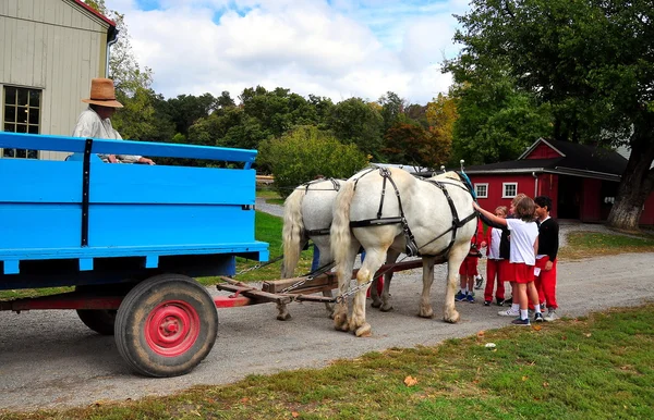 Lancaster, Pennsylvania: Children Petting Horse