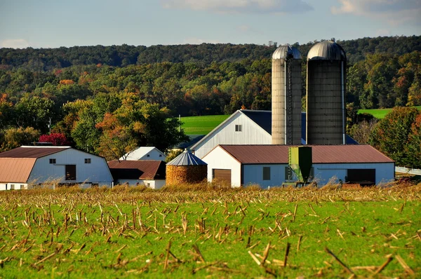 Condado de Lancaster, Pensilvania: Granja Amish — Foto de Stock