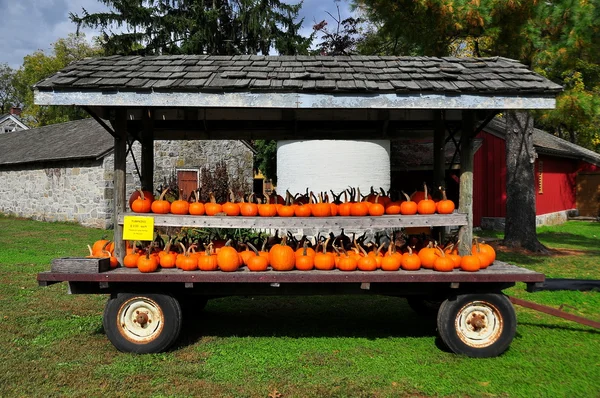 Lancaster, Pennsylvania: Pumpkin Display at Landis Museum — Stockfoto