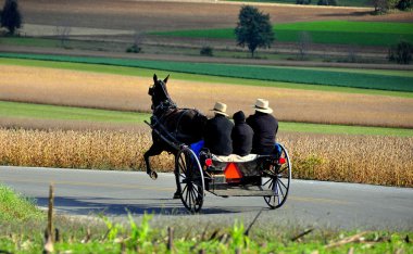 Lancaster County, Pennsylvania: Amish Riding in Buggy clipart