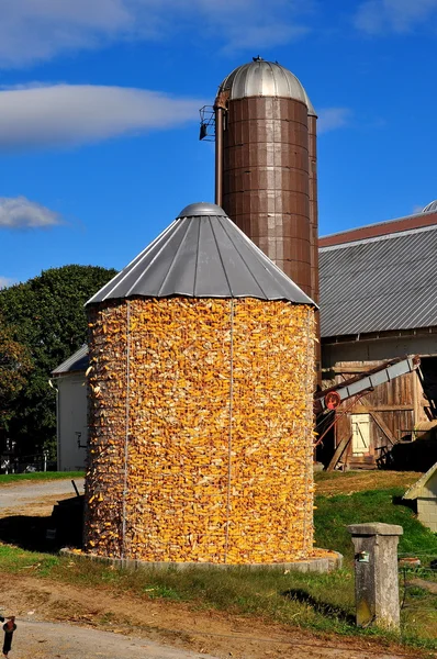 Condado de Lancaster, Pensilvania: Cuna de maíz en la granja Amish — Foto de Stock