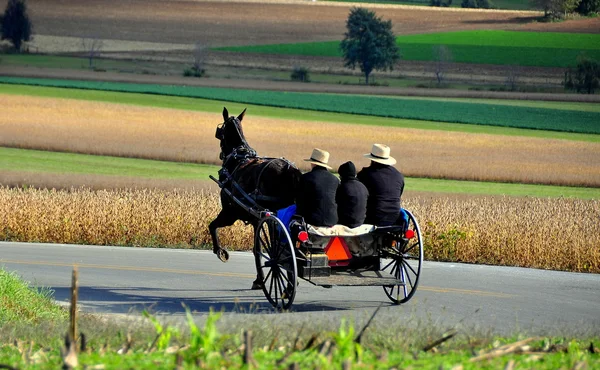 Condado de Lancaster, Pensilvânia: Amish Riding in Buggy — Fotografia de Stock