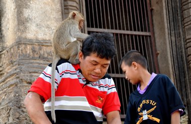 Lopburi, Tayland: Oturan maymun