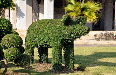 Salaya, Thaland: Topiary Elephant in Park clipart