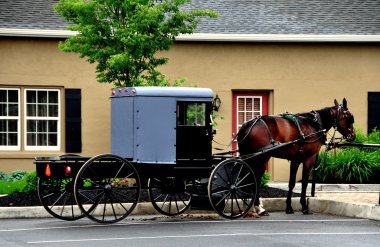 Cinsel ilişki, Pa: Amish Buggy