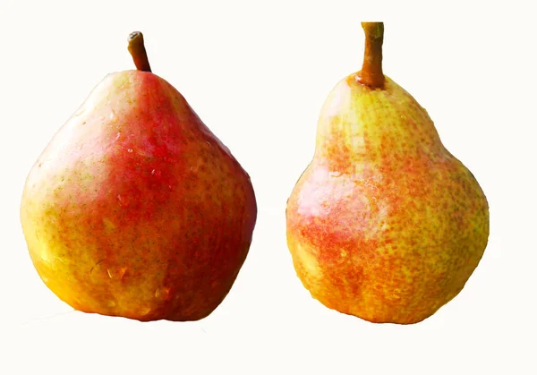 白い背景に2本の熟した梨が孤立しています。成分 — ストック写真