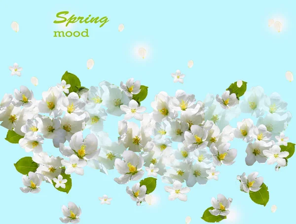 Wiosenny Wiatr Luksusowy Biały Kwiat Jabłka Latające Płatki Akwarelowym Stylu — Zdjęcie stockowe