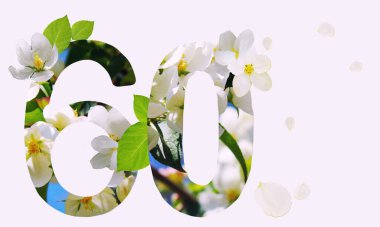 Beyaz çiçekler, altmış basamaklı. Altmış yazılı doğum günü tebrik kartı. Yıldönümü konsepti. Üst Manzara. Çiçek arka planında beyaz numara. Sayısal rakam, kutlama olayı, şablon, broşür.