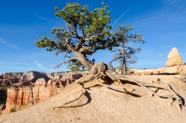 Bryce canyon utah içinde