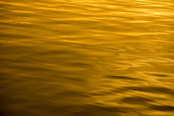 Regentropfen bei Sonnenuntergang — Stockfoto