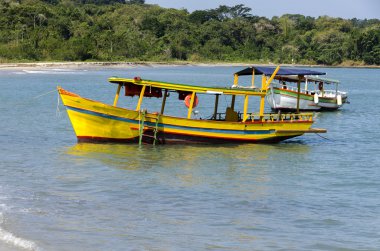 Paraty Brezilya sarı tekne