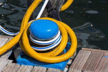 Koç boynuzu Cenova mavi