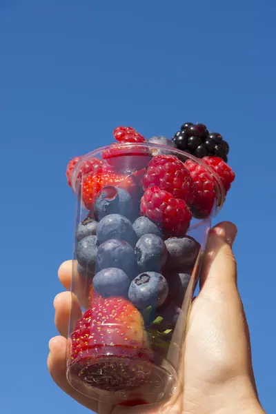 Cup of berries — Stock Photo, Image