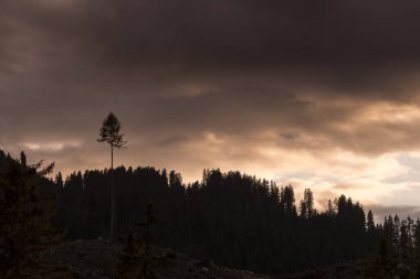 İtalya 'da Trentino Alto Adige' de Carezza Gölü 'nde gün batımı