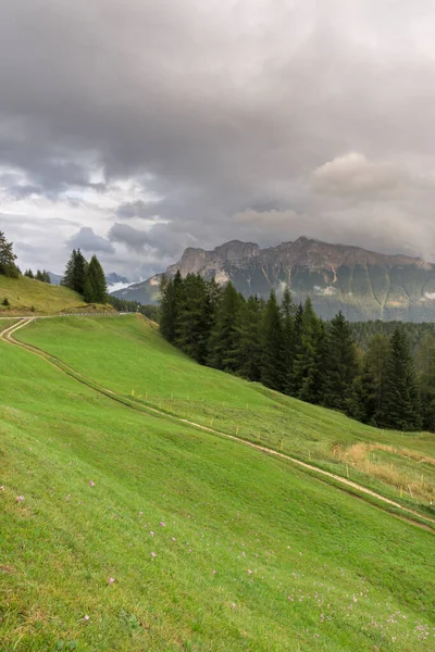 Paesaggio Case Vigo Fassa Trentino Alto Adige Italia — Foto Stock