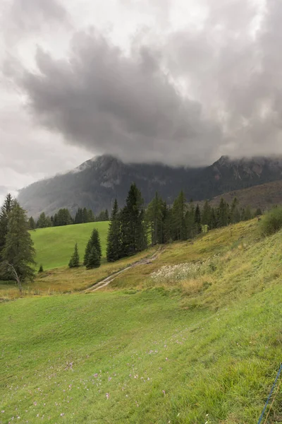 Landscape Houses Vigo Fassa Trentino Alto Adige Italy — Stockfoto