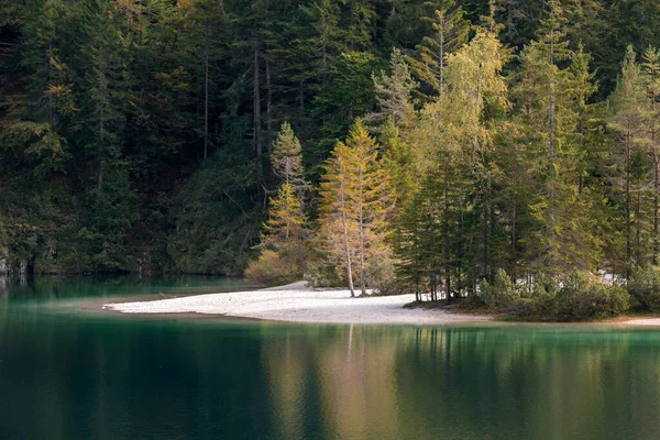 Vislumbres Detalles Sobre Lago Tovel Trentino Alto Adigio Italia — Foto de Stock