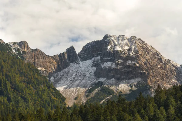 Glimpses Details Tovel Lake Trentino Alto Adige Italy — Stock Photo, Image