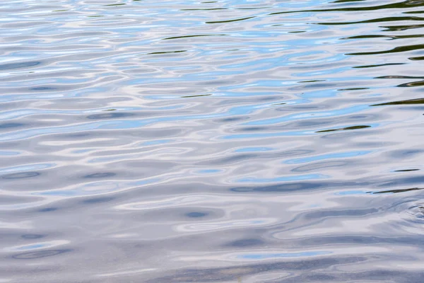 Aperçus Détails Sur Lac Tovel Dans Trentin Haut Adige Italie — Photo