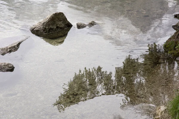 Vislumbres Detalhes Sobre Tovel Lake Trentino Alto Adige Itália — Fotografia de Stock