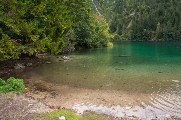 Betekintés Részletek Olaszországi Tovel Tóról Trentino Alto Adige Városában — Stock Fotó