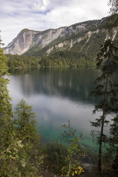 Talya Daki Trentino Alto Adige Deki Tovel Gölü Nün Ayrıntıları — Stok fotoğraf