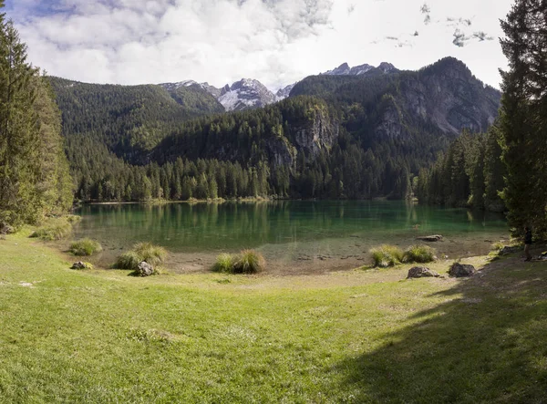 Αναλαμπές Και Λεπτομέρειες Για Tovel Lake Trentino Alto Adige Italy — Φωτογραφία Αρχείου