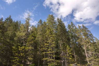 İtalya 'daki Trentino Alto Adige' deki Braies Gölü 'ne ilişkin görüntüler, detaylar ve manzara