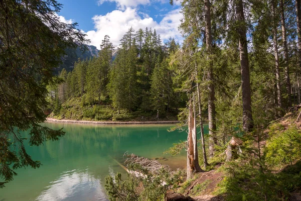 Záblesky Detaily Krajina Jezeře Braies Trentinu Alto Adige Itálii — Stock fotografie