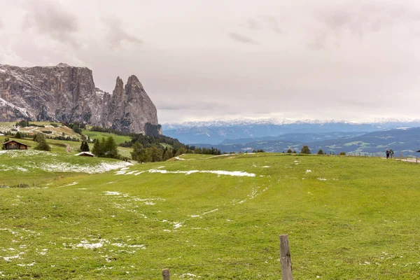 Első Táj Siusi Alpok Trentino Alto Adige Olaszországban — Stock Fotó