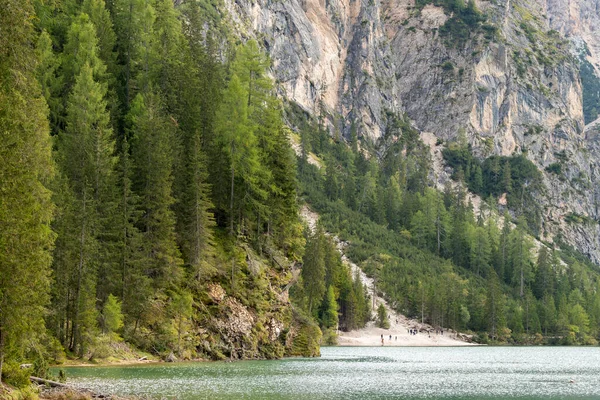 Vislumbres Detalles Paisaje Lago Braies Trentino Alto Adigio Italia — Foto de Stock