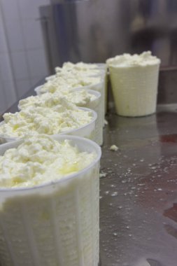Yunanistan 'da bir peynir fabrikasında ricotta üretiminin aşamaları
