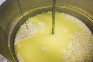 Yunanistan 'da bir peynir fabrikasında ricotta üretiminin aşamaları