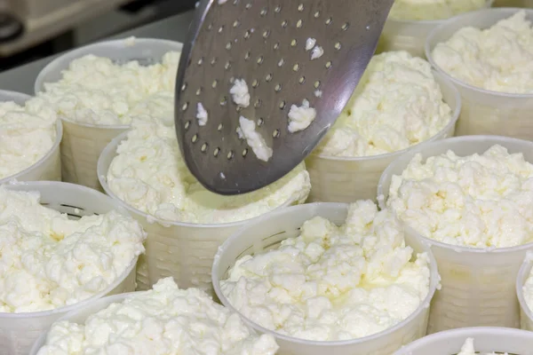 Phases Ricotta Production Cheese Factory Greece — Stock Photo, Image